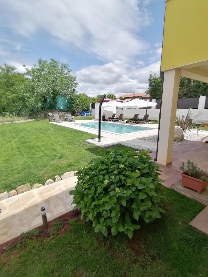 Apartman Nikola Ladrovici Zewnętrze zdjęcie