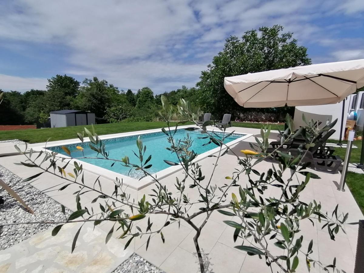 Apartman Nikola Ladrovici Zewnętrze zdjęcie